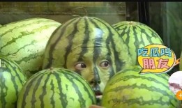 新瓜最新爆料网红蔡二哥,揭秘网红背后的惊人真相