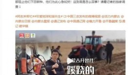 近期热瓜爆料新闻报道视频,新闻报道背后的真相与内幕